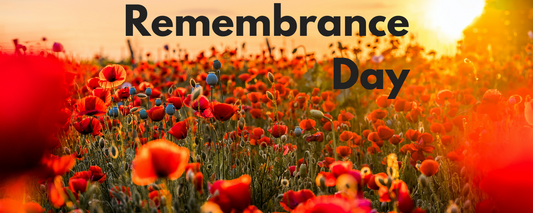 The Origins of Remembrance Day ASASonline